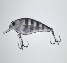 10 gram Hard Body Lure 7cm Shallow Diving Lure. Realistic Pattern Lure Series Hard Body Fishing Lures